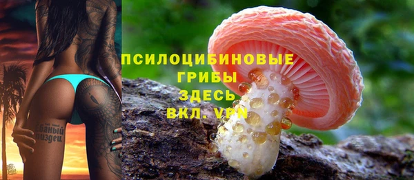 хмурый Алексин