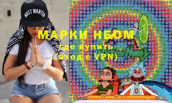 хмурый Алексин