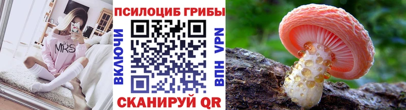 Псилоцибиновые грибы Psilocybe  Гаджиево 